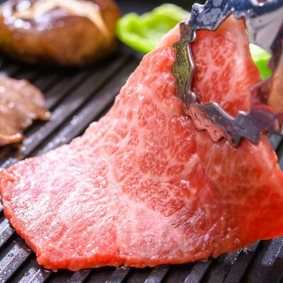 【A4〜A5】博多和牛赤身モモ焼肉用　500g(大牟田市)【配送不可地域：離島】【1560694】