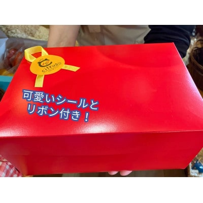 福岡県大牟田市製造の焼きドーナツ10個入り【1607744】