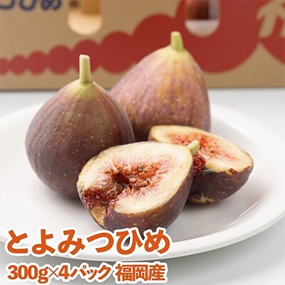 【先行受付】福岡ブランドいちじく「とよみつひめ」　約300g×4パック(大牟田市)【配送不可地域：離島・北海道・沖縄県・東北】【1217273】