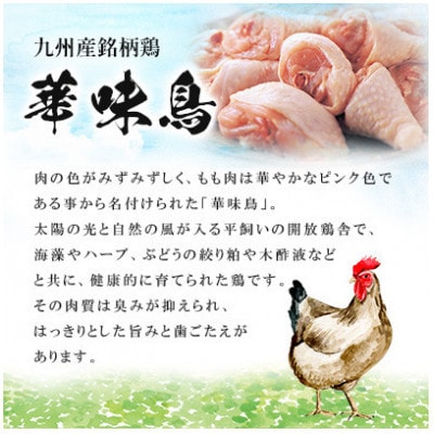 蜊壼、夊庄蜻ウ魑・ 豌エ縺溘″繧サ繝繝 3縲4莠コ蜑 譟夊Γ讀剃サ(螟ァ迚溽伐蟶)縲宣埼∽ク榊庄蝨ー蝓滂シ夐屬蟲カ縲代1642690縲