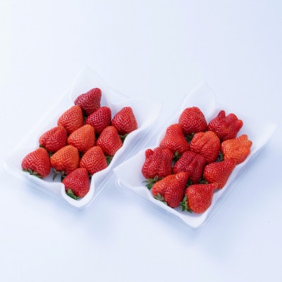 ã2026幎çºéå
è¡åä»ãé
žå³ãšçã¿ã®çµ¶åŠãªãã©ã³ã¹ã»æ¥ããŸãã6ããã¯(倧çç°åž)ãé
éäžå¯å°åïŒé¢å³¶ã»åæµ·éã»æ²çžçãã1226670ã