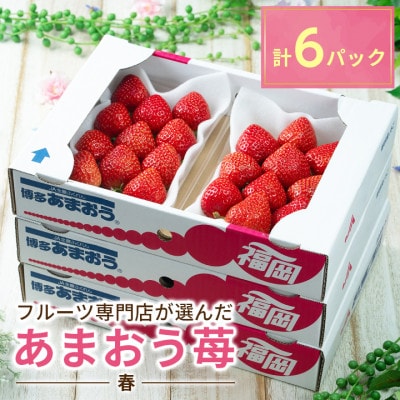 【2026年発送先行受付】酸味と甘みの絶妙なバランス・春あまおう6パック(大牟田市)【配送不可地域：離島・北海道・沖縄県】【1226670】