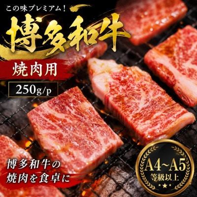 この味プレミアム!【A4〜A5】博多和牛焼肉用　250g/p(大牟田市)【配送不可地域：離島】【1758355】