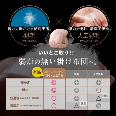 繝上う繝悶Μ繝繝臥セス豈帶寺縺大ク蝗」繧キ繝ウ繧ー繝ォ 蜈蝪ォ驥1.4kg(鄒ス豈0.7kg莠コ蟾・鄒ス豈0.7kg)濶イ繝サ譟縺翫∪縺九○縲1646527縲