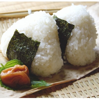 福岡有明のり　訳あり!　焼海苔　全形30枚(大牟田市)【1606747】