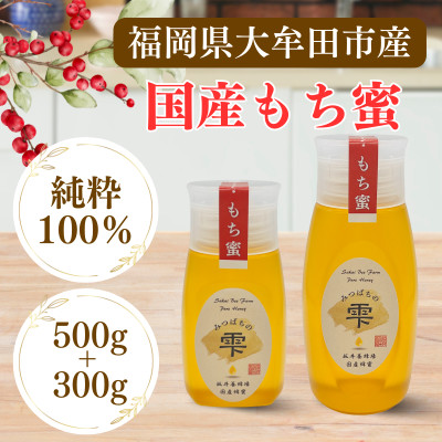 みつばちの雫　国産もち蜂蜜　500g+300g【1481088】