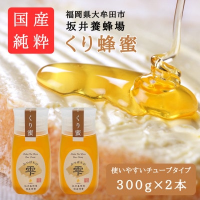 みつばちの雫　国産くり蜂蜜　300g×2【1481082】