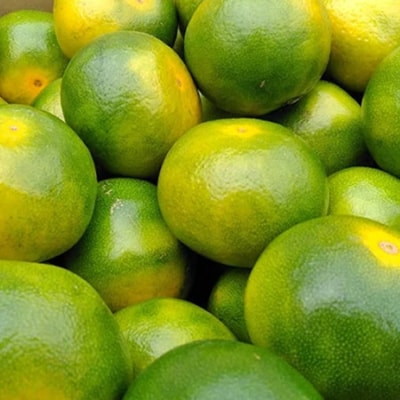 【先行受付】福岡オリジナルブランド　蜜柑 早味かん約4kg(大牟田市)【配送不可地域：離島】【1217262】