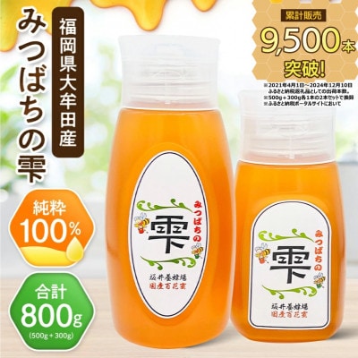 坂井養蜂場　みつばちの雫　500g+300g(合計800g)国産蜂蜜【1254446】