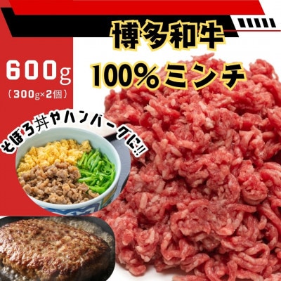博多和牛100%ミンチ(挽肉)【訳あり】600g(300g×2個)(大牟田市)【配送不可地域：離島】【1608338】