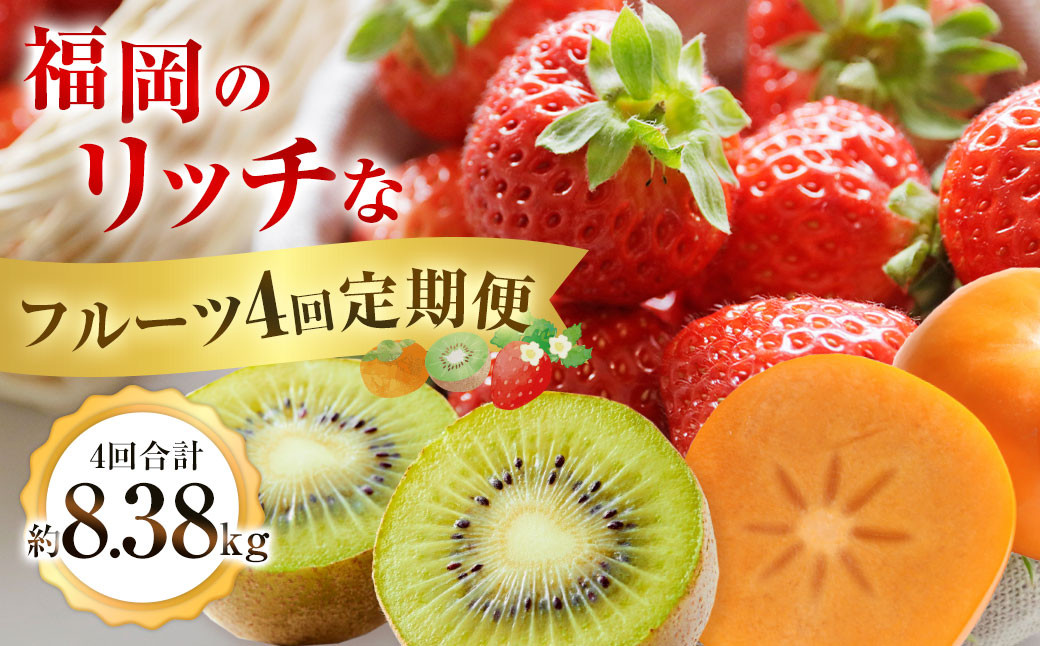 福岡のリッチなフルーツ4回定期便【2025年10月下旬～2026年1月下旬発送予定】 秋王 柿 かき カキ 甘うぃ キウイ いちご イチゴ 苺 あまおう 大きい 大粒 あまい 甘い 果汁 果物 フルーツ 高級 8.38kg