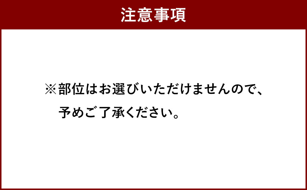 国産 博多和牛 切り落とし 500g 化粧箱入り 黒毛和牛