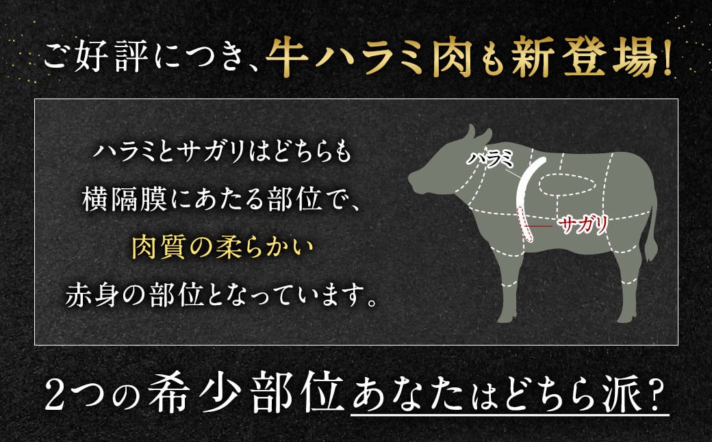 【2024年5月発送】【訳あり】秘伝コク旨たれ漬け牛サガリ肉 1.5kg