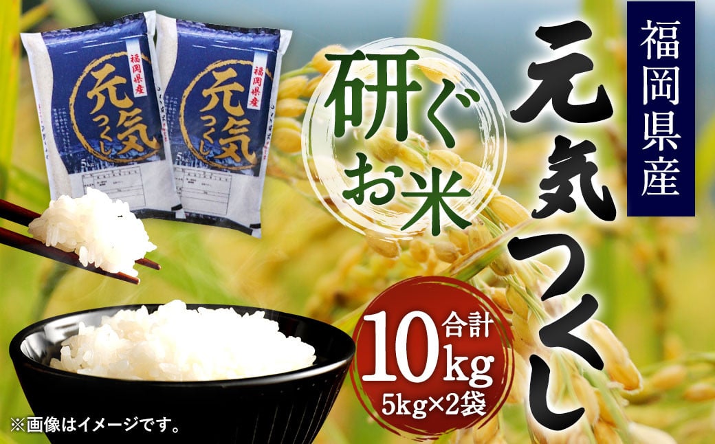 【令和6年産】福岡県産 元気つくし 研ぐお米 10kg お米 ご飯 米