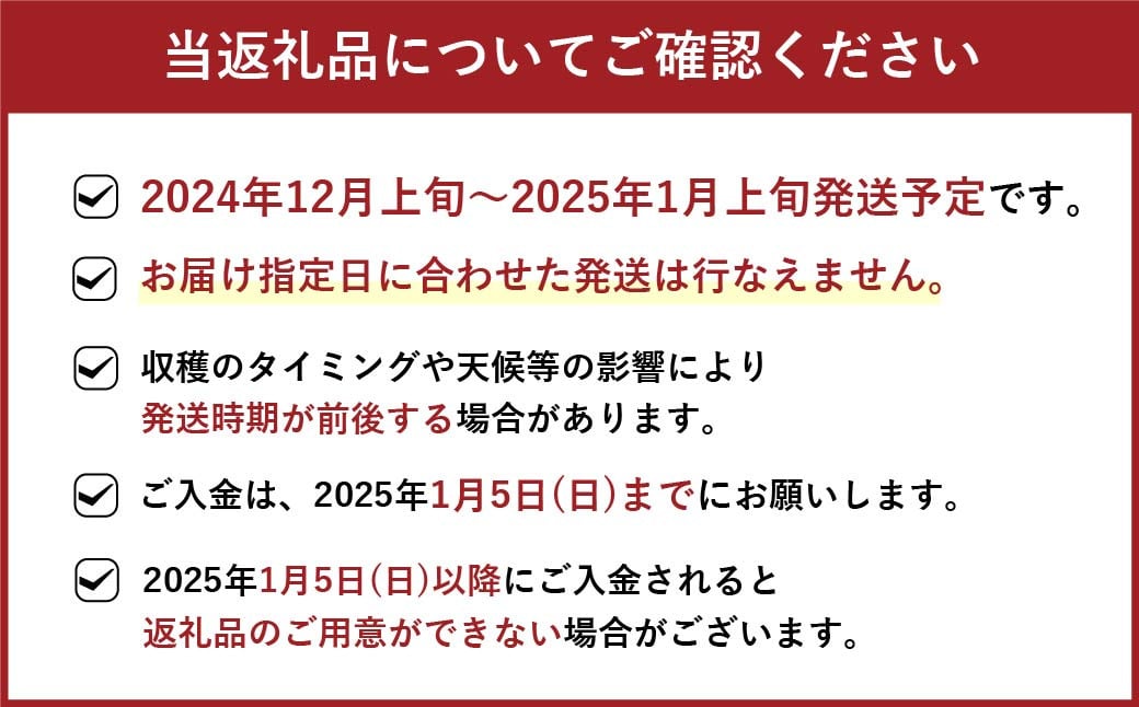 福岡県産 博多あまおう DX 上級品 約560g (約280g×2パック入り) 【2024年12月上旬～2025年1月上旬発送予定】※北海道・沖縄・離島配送不可