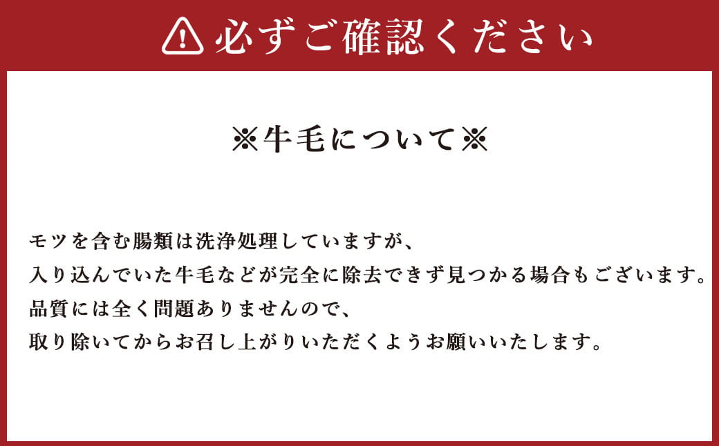 【2024年12月発送】国産 牛もつ鍋 10人前 牛もつ たっぷり1,000g 冷凍ちゃんぽん 濃縮スープ付