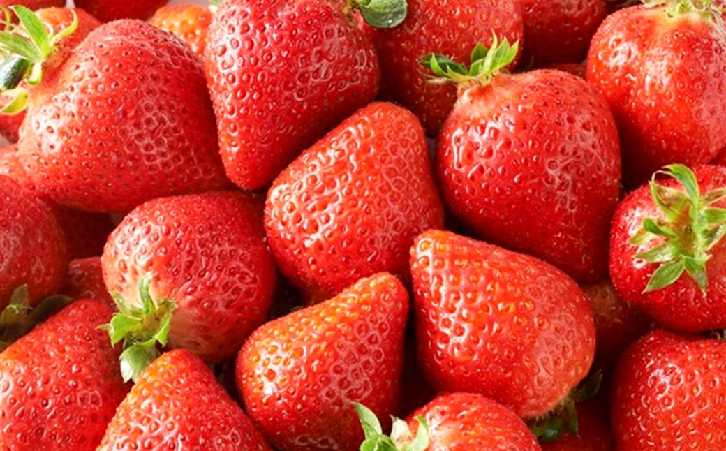 çŠå²¡çç£ åå€ ããŸãã çŽ1.12kgïŒçŽ280gÃ4ããã¯ïŒã2026幎1æäžæ¬ïœ3æäžæ¬çºéäºå®ã â»åæµ·éã»æ²çžã»é¢å³¶é
éäžå¯