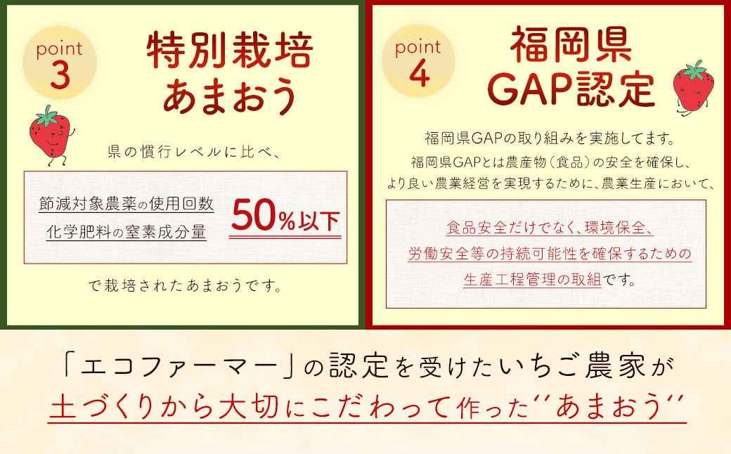 【2025年 2月発送】【アフター対応】特別栽培あまおう 約300g×4パック イチゴ 苺 いちご【2025年1月上旬～3月下旬発送予定】※北海道・沖縄・離島配送不可