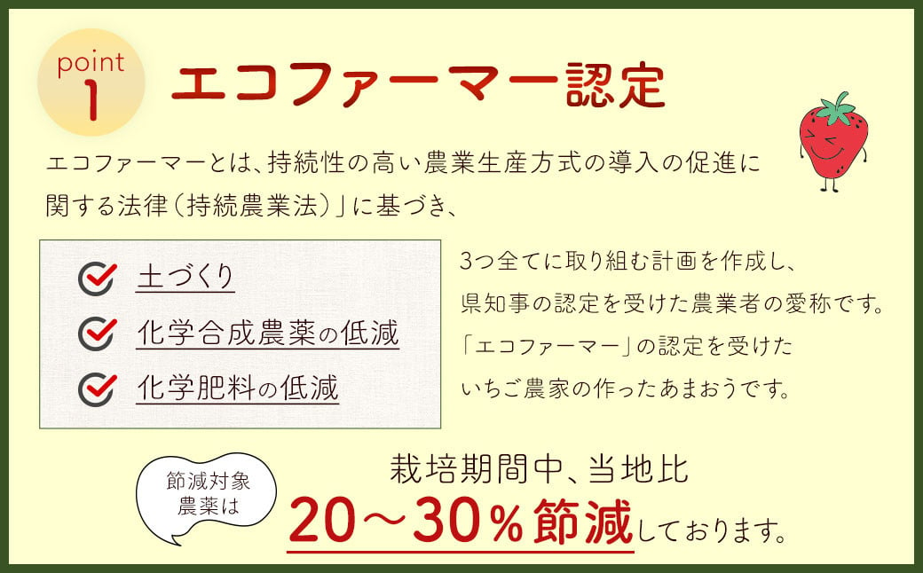 【2025年 3月発送】【アフター対応】特別栽培あまおう 約300g×4パック イチゴ 苺 いちご【2025年1月上旬～3月下旬発送予定】※北海道・沖縄・離島配送不可