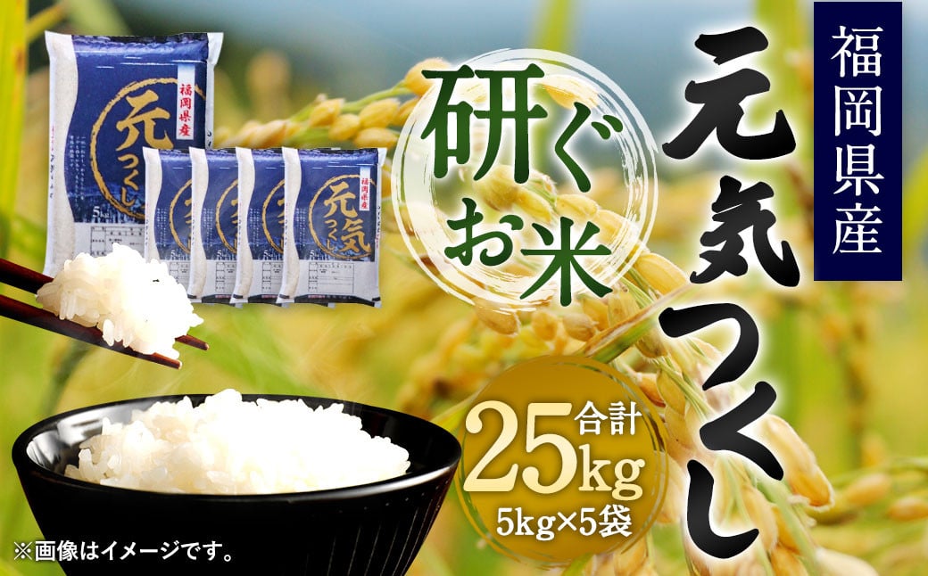 【令和6年産】福岡県産 元気つくし 研ぐお米 25kg お米 ご飯 米