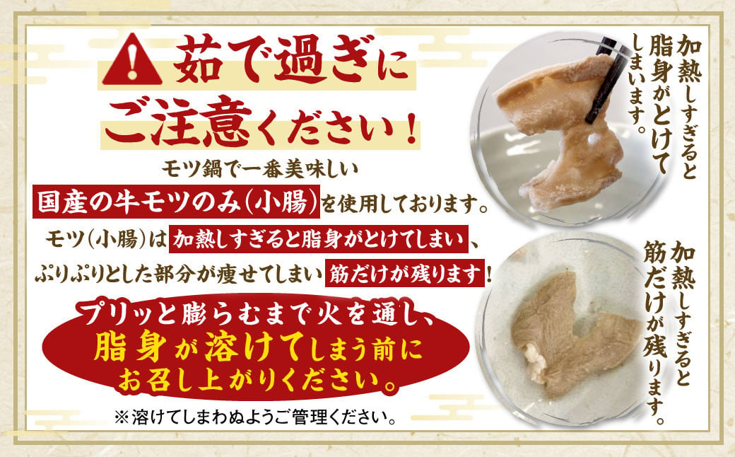 国産 牛もつ鍋 10人前 牛もつ たっぷり1,000g 冷凍ちゃんぽん 濃縮スープ付