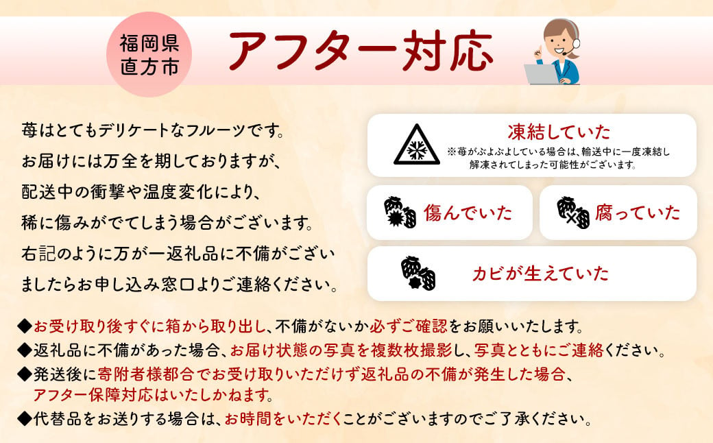 【2025年 1月発送】【アフター対応】特別栽培あまおう 約300g×4パック イチゴ 苺 いちご【2025年1月上旬～3月下旬発送予定】※北海道・沖縄・離島配送不可