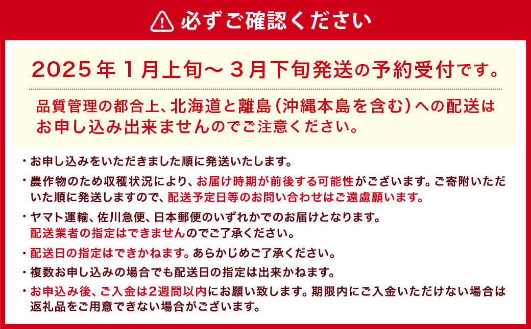 ギフト配送 福岡県産あまおう EX 約450g×2パック 合計約900g 〈特別栽培〉【2025年1月上旬～3月下旬発送予定】