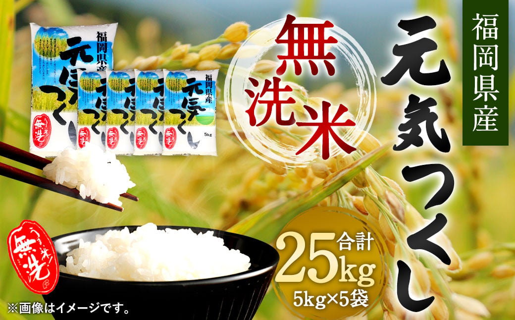 【令和6年産】福岡県産 元気つくし 無洗米 25kg お米 ご飯 米