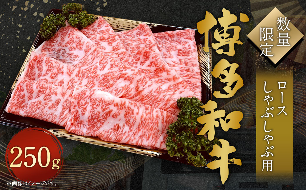 【数量限定 博多和牛】ロース しゃぶしゃぶ用 250g 牛肉 黒毛和種 和牛 しゃぶしゃぶ 焼きしゃぶ すき焼き 鍋 霜降り 肉 国産 福岡県産