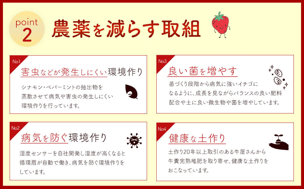 【2025年 2月発送】【アフター対応】特別栽培あまおう 約300g×4パック イチゴ 苺 いちご【2025年1月上旬～3月下旬発送予定】※北海道・沖縄・離島配送不可