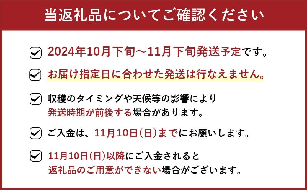 【優等品】福岡県産 博多 秋王 約3.1kg以上 (8玉～12玉入り)【2024年10月下旬～11月下旬発送】 ※北海道・沖縄・離島配送不可