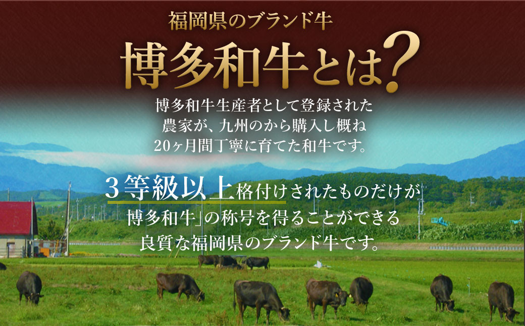 【数量限定 訳あり】博多和牛＋九州産黒毛和牛 切り落とし 合計1.2kg