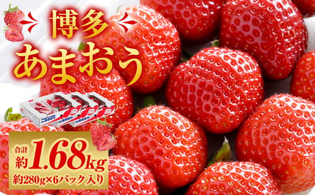 福岡県産 博多あまおう 約1.68kg (約280g×6パック入り) 【2025年1月下旬～3月下旬発送予定】 ※北海道・沖縄・離島配送不可