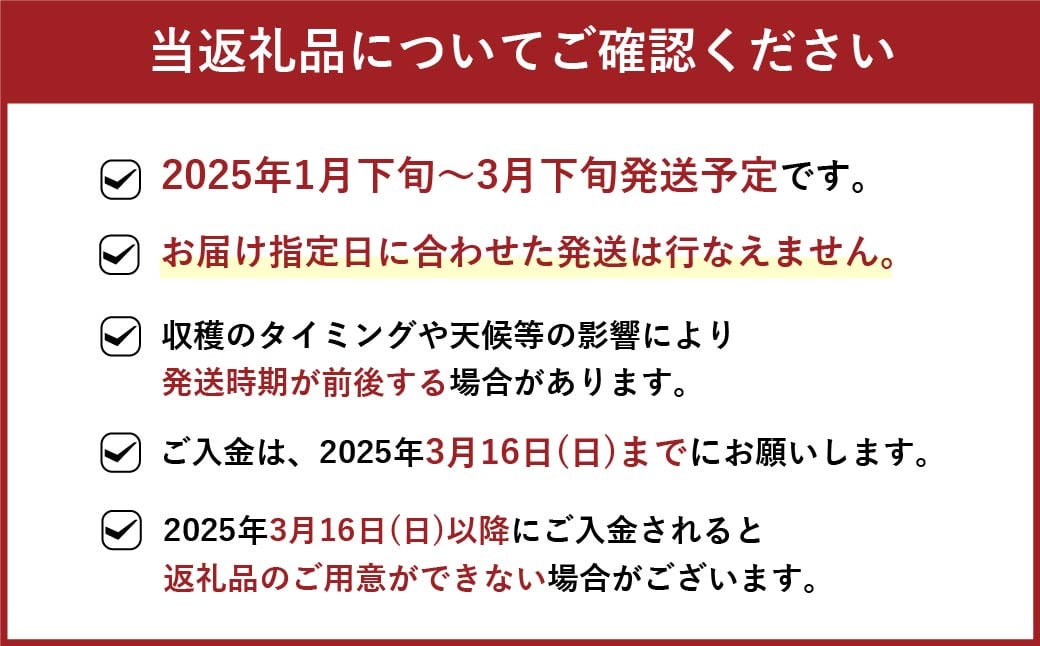 福岡県産 博多あまおう 約1.68kg (約280g×6パック入り) 【2025年1月下旬～3月下旬発送予定】 ※北海道・沖縄・離島配送不可