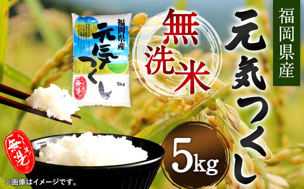 【令和6年産】福岡県産 元気つくし 無洗米 5kg お米 ご飯 米