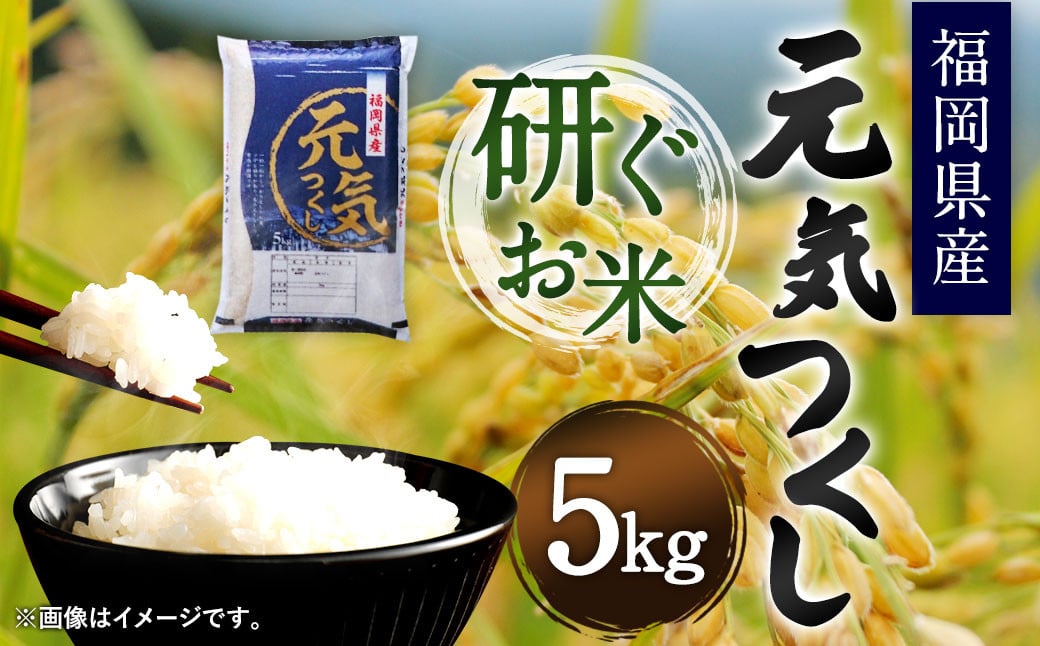 【令和6年産】福岡県産 元気つくし 研ぐお米 5kg お米 ご飯 米