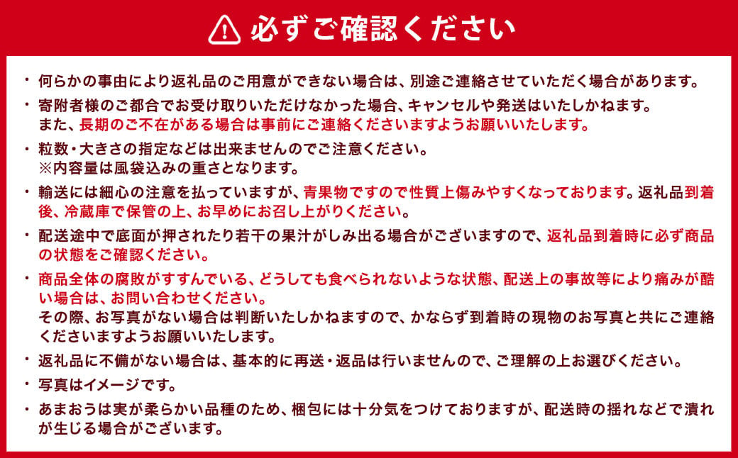 ギフト配送 福岡県産あまおう EX 約450g×2パック 合計約900g 〈特別栽培〉【2025年1月上旬～3月下旬発送予定】