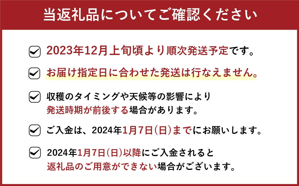 【2023年12月上旬より順次発送】福岡県産 博多あまおう DX 上級品 約560g (約280g×2パック入り) いちご 苺 ※北海道・沖縄・離島配送不可