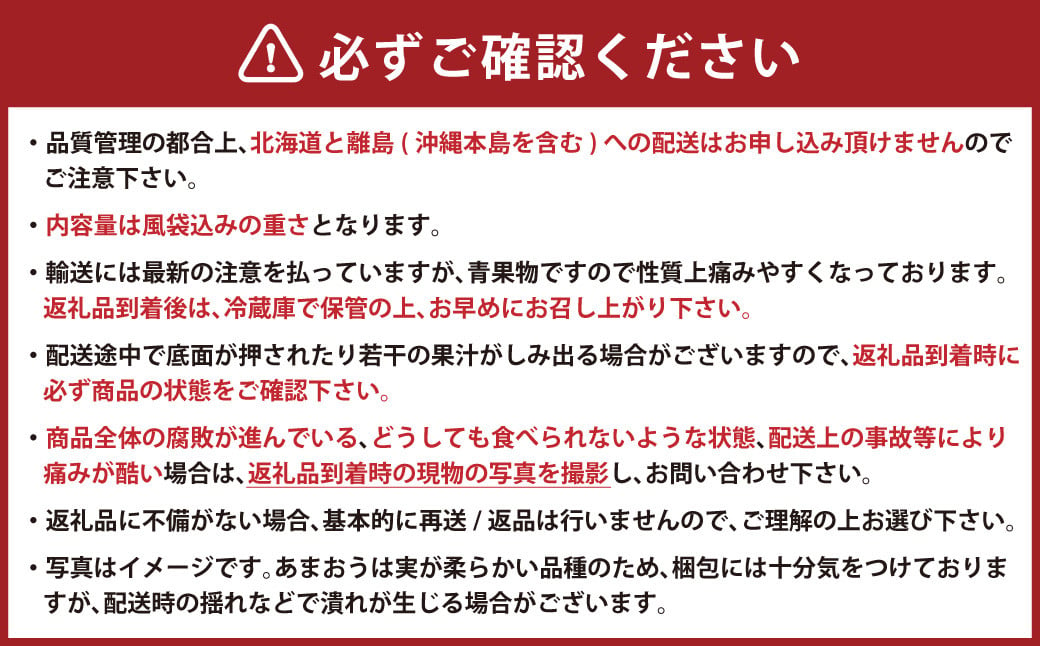 【2023年12月上旬より順次発送】 ギフト配送 福岡県産あまおう EX 約450g×2パック 合計約900g 〈特別栽培〉※北海道・沖縄・離島配送不可