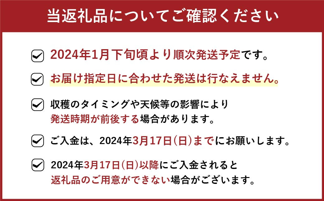 福岡県産 博多あまおう 約1.68kg (約280g×6パック入り) いちご 苺 ※北海道・沖縄・離島配送不可