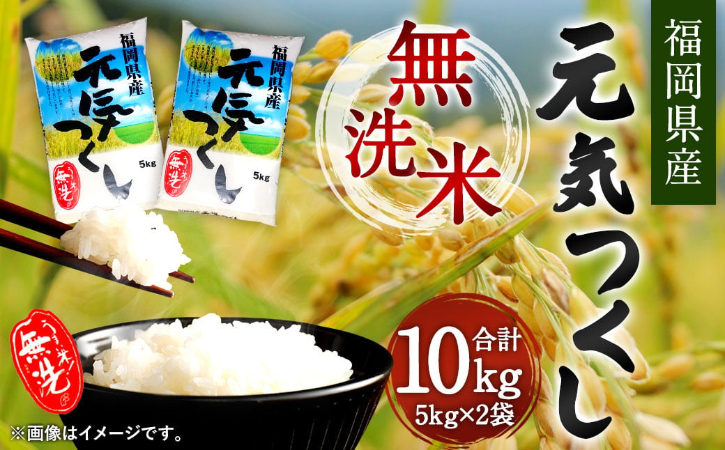 【令和6年産】福岡県産元気つくし 無洗米 10kg お米 ご飯 米