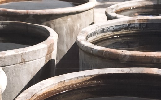 縺繧峨∋縺ョ蜊蟷エ閠驢 62邊津2蛟 繧サ繝繝 縺企「 繧オ繝励Μ繝。繝ウ繝