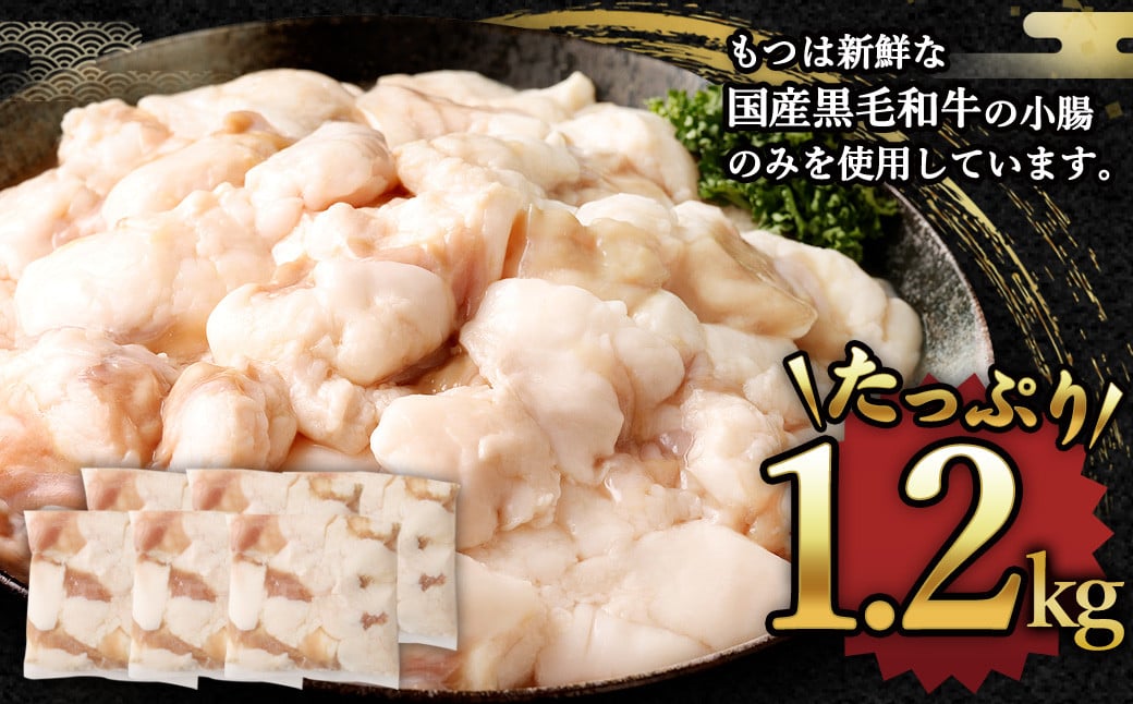 国産牛 もつ鍋 12人前 ちゃんぽん 濃縮スープ付 （醤油味） 冷凍 国産 もつ もつ鍋セット