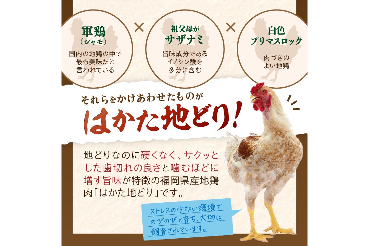 【A-846】はかた地どり 手羽元 1kg