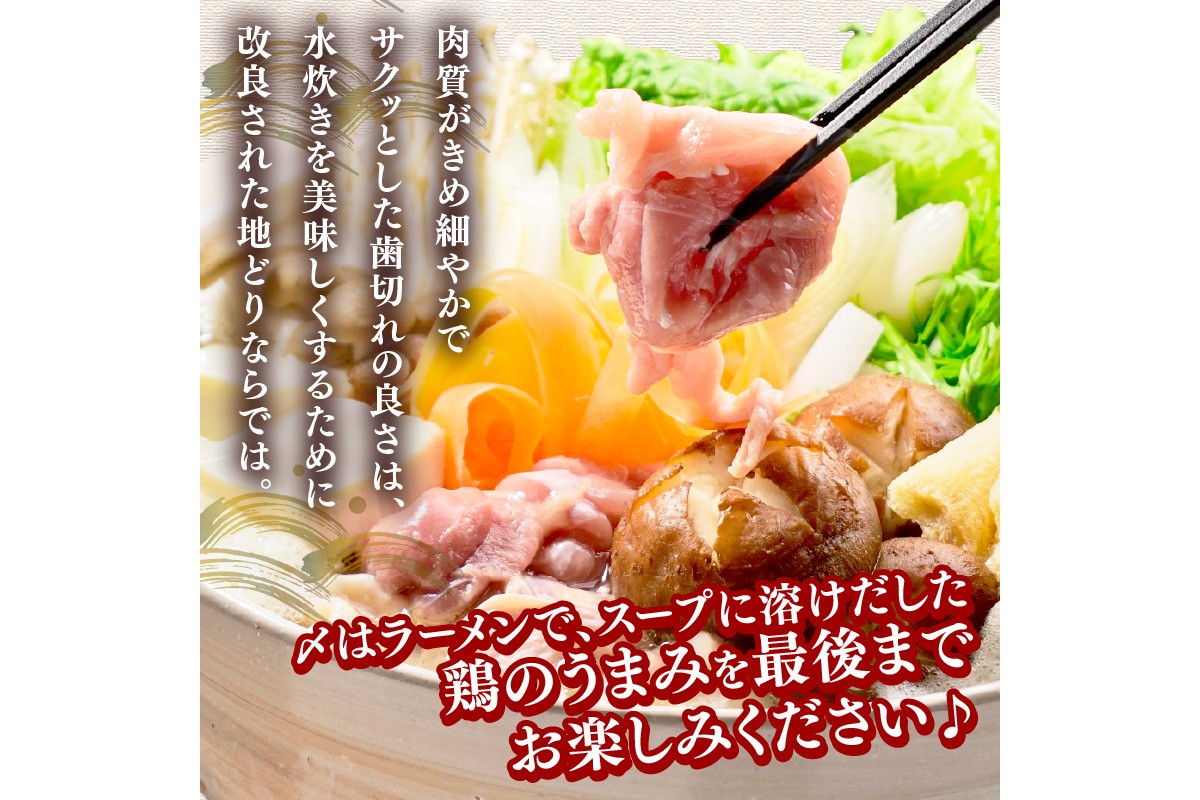 ãA8-076ãã¯ããå°ã©ã æ°Žçãã»ãã(2ïœ3人)