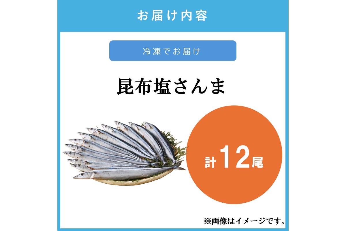 縲植2-170縲第蟶蝪ゥ縺輔s縺セ(12蟆セ)