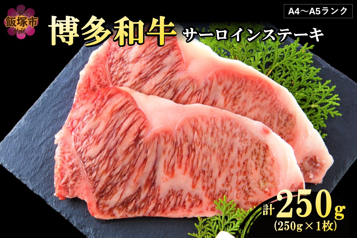 【A3-081】【A4-A5ランク】博多和牛サーロインステーキ 250g