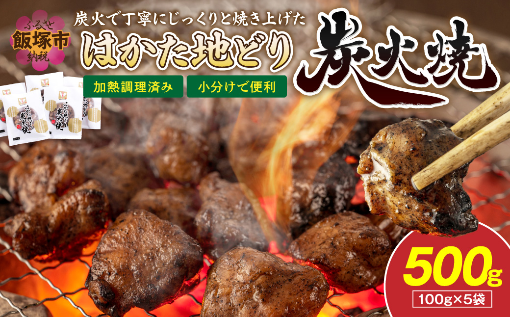 【A4-043】はかた地どり炭火焼きセット500g