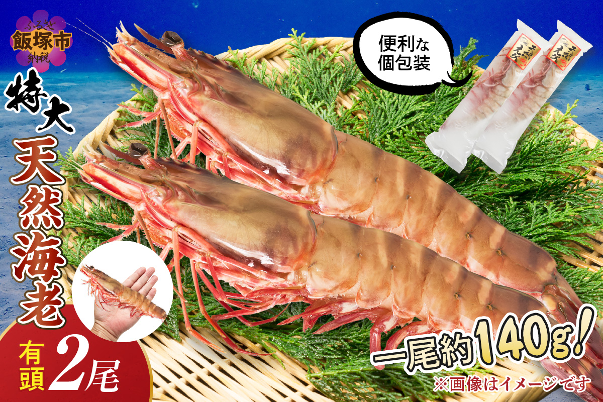 【A5-318】特大 天然海老(有頭･2尾)