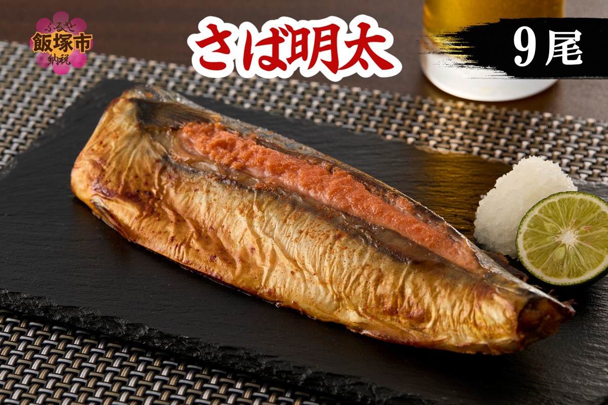 【B4-043】さば明太 9尾